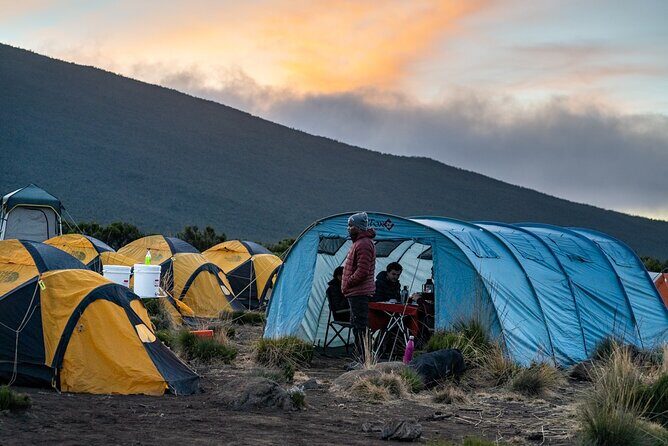 Kilimanjaro climb by Lemosho Route (7-day) - What sets Altezza Travel apart?