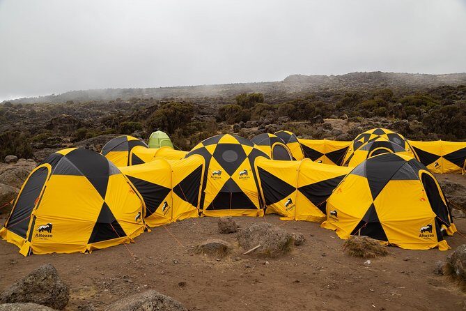 Kilimanjaro climb, Lemosho Route (6-day) - An In-Depth Look at the Kilimanjaro Lemosho Route With Altezza Travel