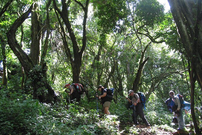 Kilimanjaro Climb  Machame Route ~ 10 Day - Key Points