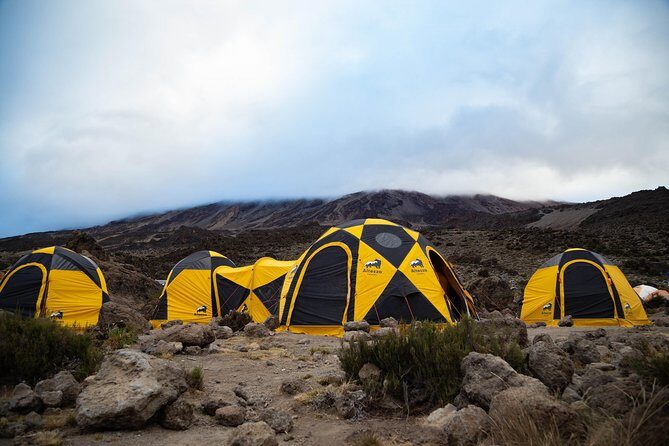 Kilimanjaro climb, Machame Route (7-day) - Pre-Trip Comfort and Logistics