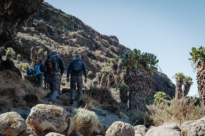 Kilimanjaro climb, Machame Route (7-day) - Final Thoughts