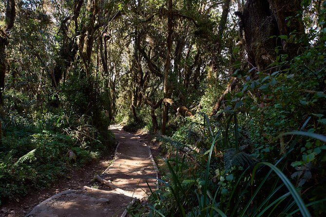 Kilimanjaro climb, Marangu route (6-day) - FAQ