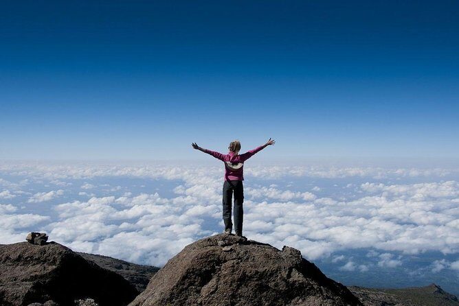 Kilimanjaro Climb Marangu Route 6 days - Who Is This Tour Best For?