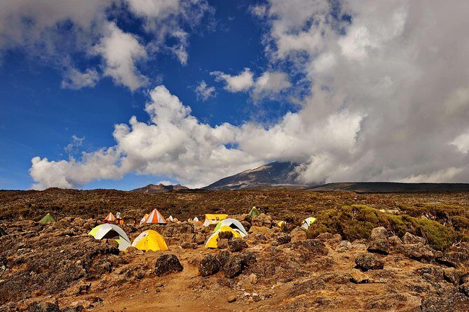 Kilimanjaro climb, Rongai Route (6-day) - An In-Depth Look at the Kilimanjaro Rongai Route Experience