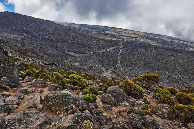 Kilimanjaro climb, Rongai Route (7-day) - Key Points