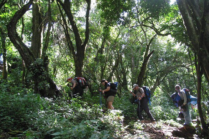 Kilimanjaro Climb & Safari - Lemosho Route - 13 Day - Who Should Consider This Tour?