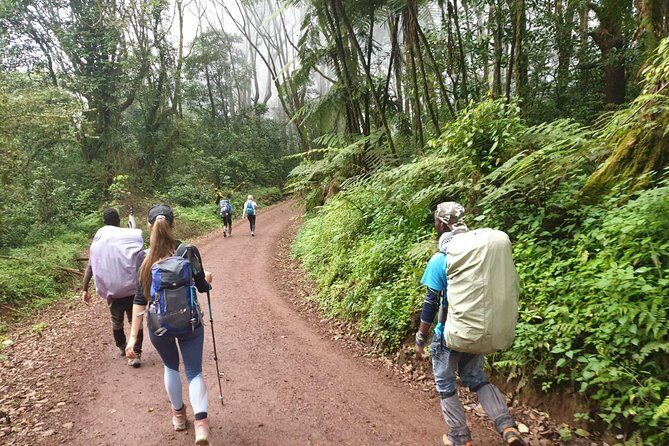 Kilimanjaro Climbing 5 days Marangu route - Who This Tour Is Perfect For