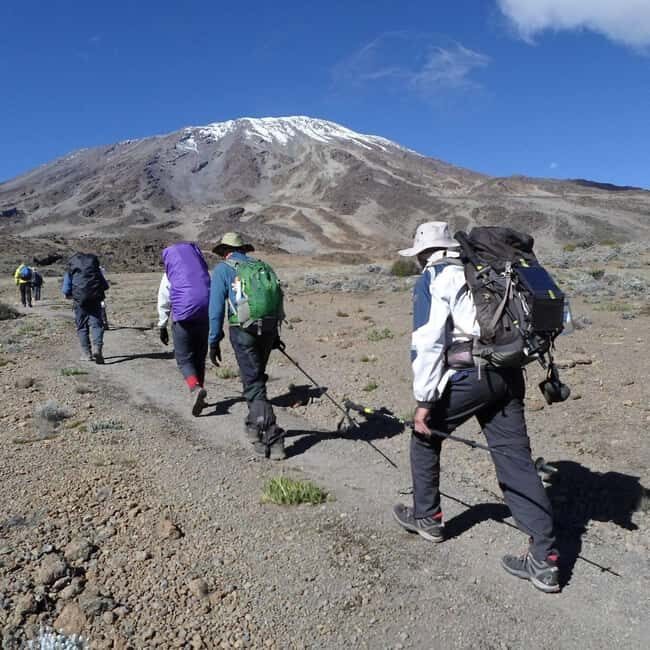 Kilimanjaro Climbing by car, Day Trip for Non-Summit People - What’s Included and What You Should Know