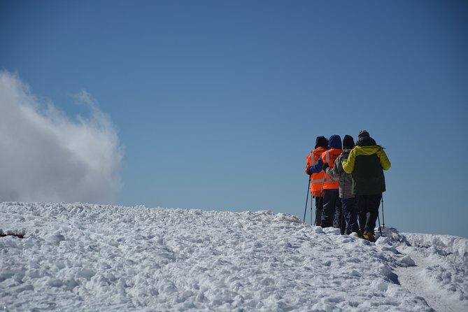 Kilimanjaro Climbing Rongai Route - Who Is This Tour Best For?