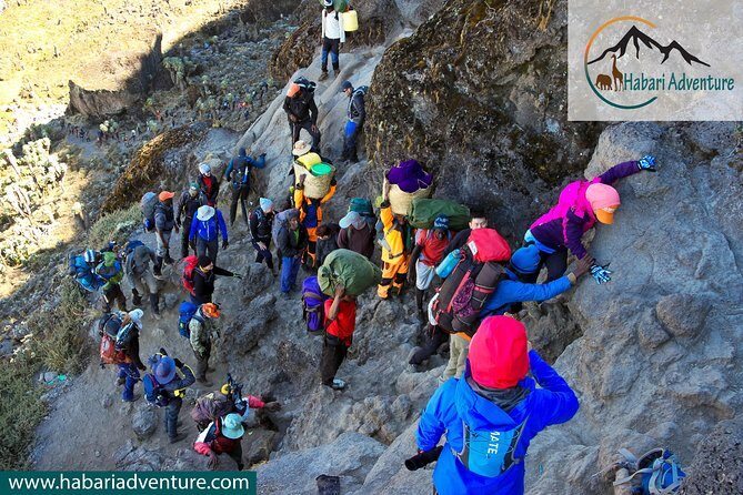 Kilimanjaro Climbing Umbwe Route - Day 2: Transition from Forest to Mountain