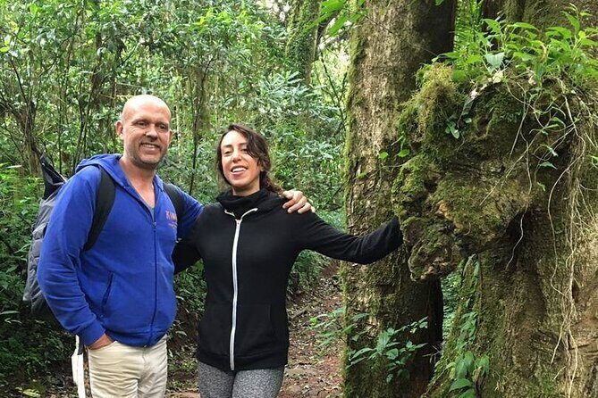 Kilimanjaro Day Hike - Who Is This Tour Best For?
