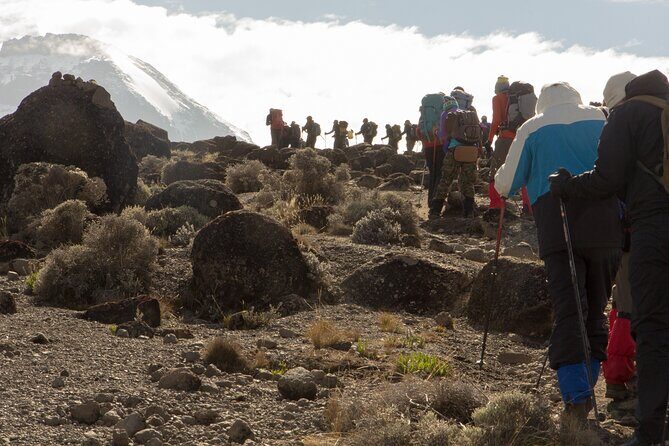 Kilimanjaro Day Hike Marangu Route - Describing the Experience in Detail