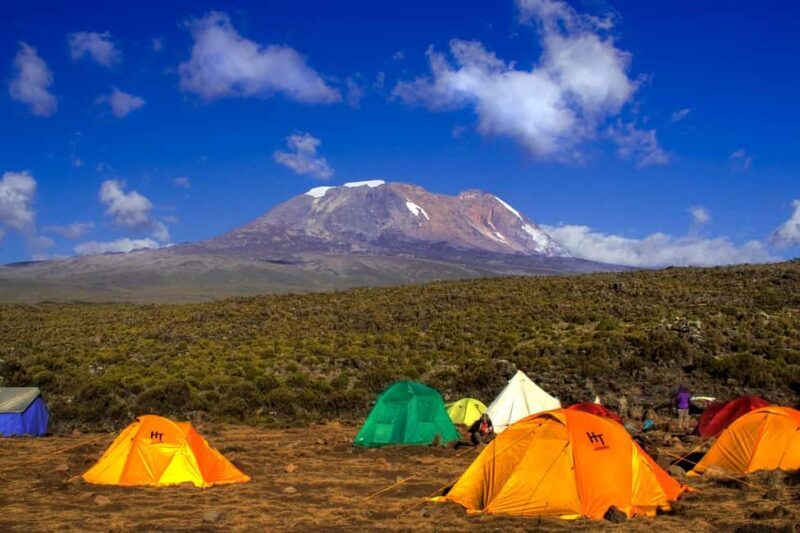Kilimanjaro Day Hike (Shira Route) - The Sum Up