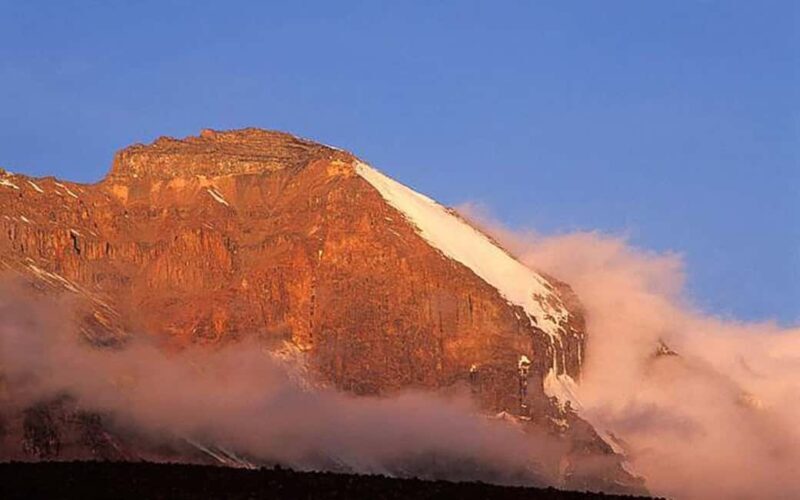Kilimanjaro in a Day: Unforgettable Marangu Route Adventure - What to Know Before You Go