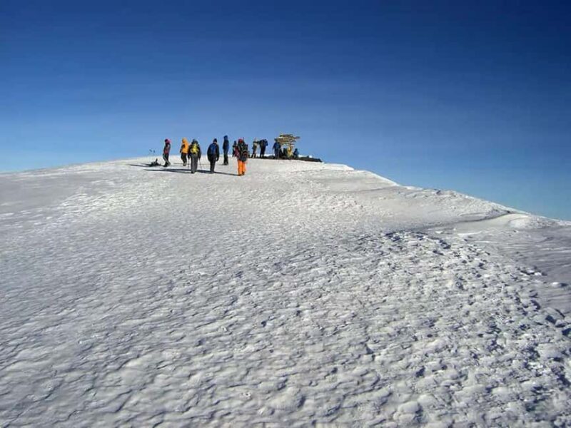 Kilimanjaro: Lemosho Route 7-Day Trek - The Route’s Unique Path and Its Benefits
