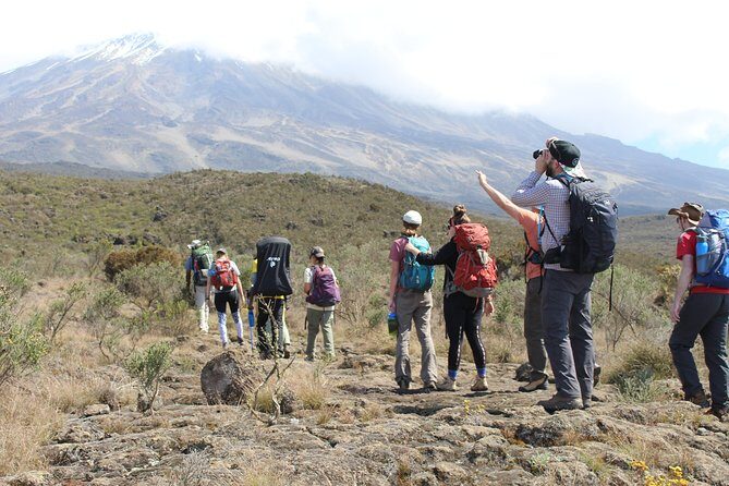 Kilimanjaro Lemosho Route 7 Days - A Deep Dive into the Kilimanjaro Lemosho Route 7 Days Itinerary