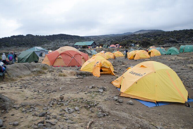 Kilimanjaro Lemosho Route 7 Days - Final Thoughts