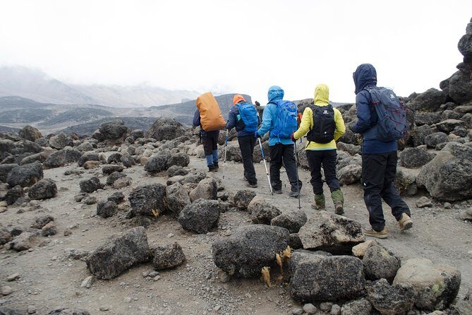 Kilimanjaro Lemosho Route 8 Days - FAQs