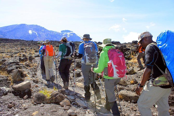 Kilimanjaro-lemosho Route 8 Days Itinerary - The Sum Up: Is This Tour Right for You?