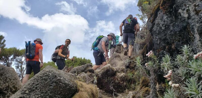 Kilimanjaro: Lemosho Route Trek with Airport Transfer - The Experience: A Day-by-Day Breakdown