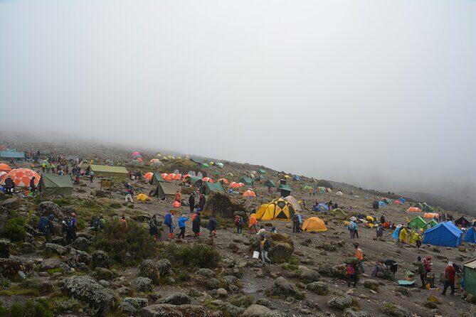 Kilimanjaro Machame Route 7 Days - The Sum Up: Who Is This Tour Perfect For?