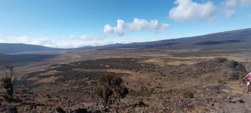 Kilimanjaro: Marangu Route 5-Day Trek - Key Points