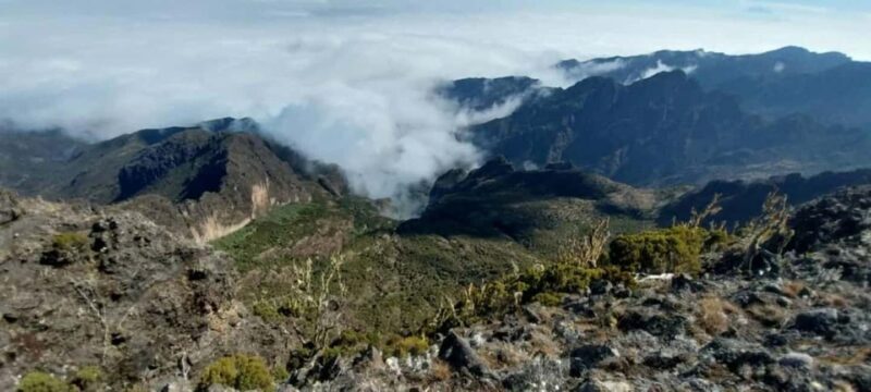 Kilimanjaro: Marangu Route 5-Day Trek - Introduction: What makes this Kilimanjaro trek worthwhile?