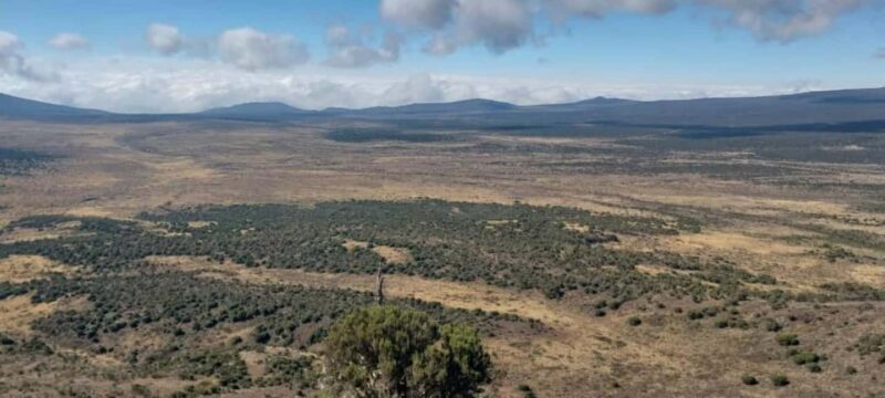 Kilimanjaro: Marangu Route 5-Day Trek - What’s Included and What’s Not