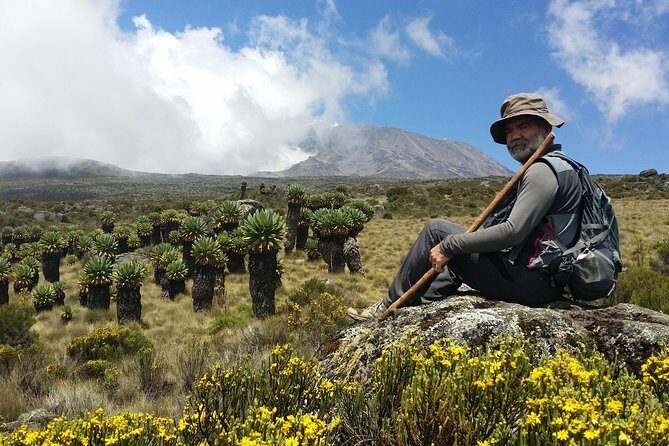 Kilimanjaro Marangu Route Day Tour - An In-Depth Look at the Kilimanjaro Marangu Route Day Tour