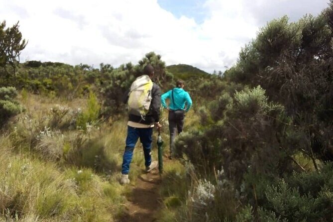 Kilimanjaro National Park Day Trip - FAQs
