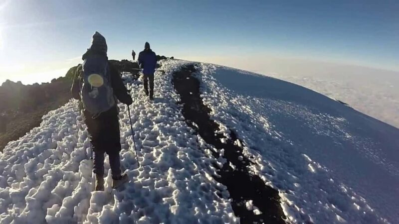 Kilimanjaro National Park Shira Plateau, day hike - Who Should Consider This Tour?