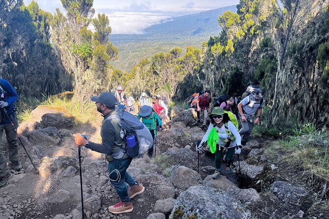 Kilimanjaro Northern Circuit Route 8 Days - Final Thoughts: Is This the Right Kilimanjaro Tour for You?
