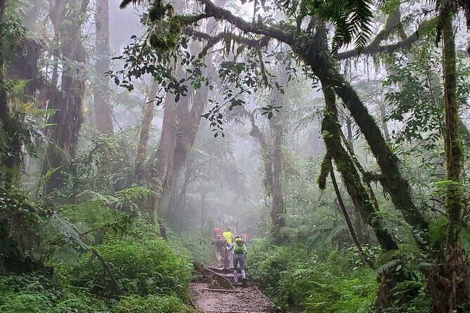 Kilimanjaro Northern Circuit Route 8 Days - FAQ