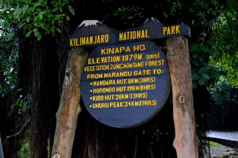 Kilimanjaro: Overnight Camp at Mandara Huts - Itinerary Breakdown