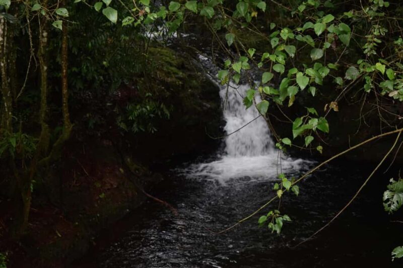 Kilimanjaro: Overnight Camp at Mandara Huts - Additional Information and Practical Tips