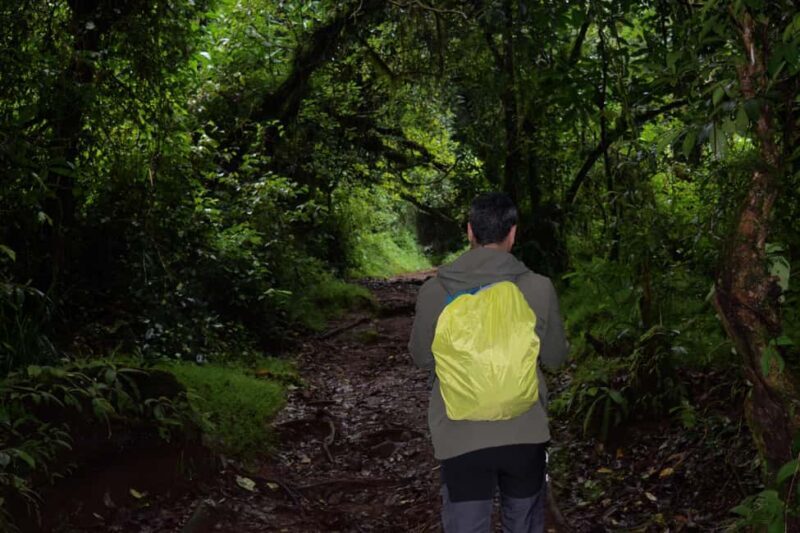 Kilimanjaro: Overnight Camp at Mandara Huts - Who Should Consider This Tour?