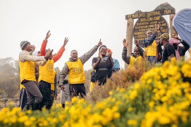 Kilimanjaro Private Climbing in 6 Days Marangu Route - An In-Depth Look at the 6-Day Marangu Route Climb