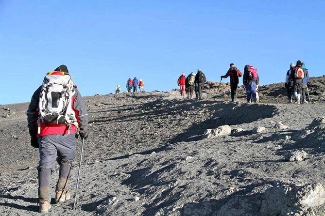 Kilimanjaro Rongai Route 5 Days Trekking - An In-Depth Look at the Kilimanjaro Rongai Route 5-Day Trekking