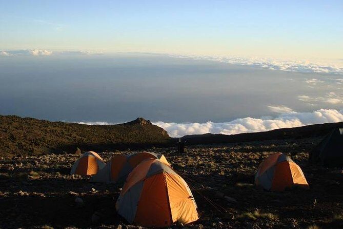 Kilimanjaro Rongai Route 5 Days Trekking - The Experience and Why It Matters