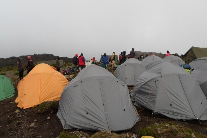 Kilimanjaro Rongai Route 7 Days - An In-Depth Look at the 7-Day Rongai Route