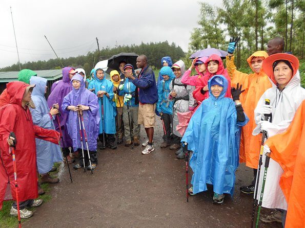 Kilimanjaro Rongai Route 7 Days - What Makes This Tour Stand Out