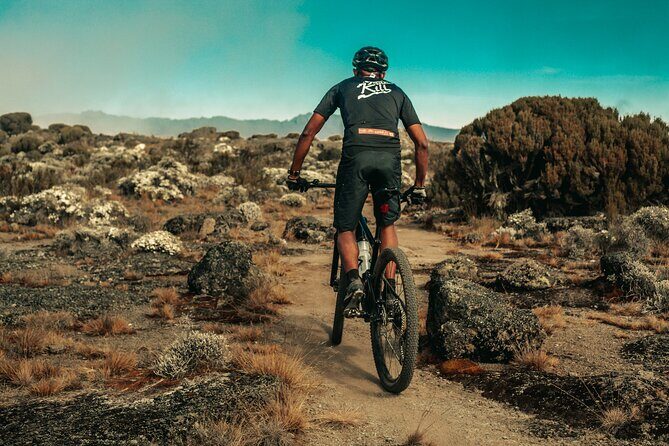 Kilimanjaro Shira Plateau E-Bike Day Trip - What Sets This Tour Apart?