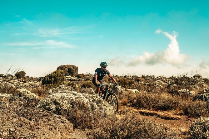 Kilimanjaro Shira Plateau E-Bike Day Trip - Authenticity and Intimate Encounters