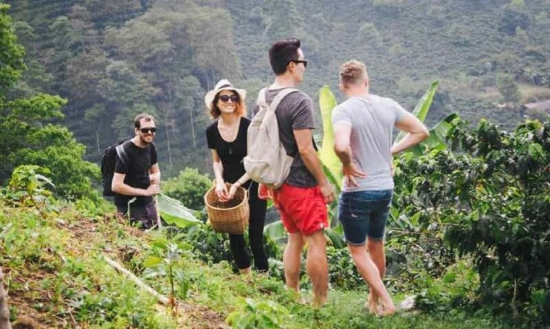 Kilimanjaro: Village Walk, Coffee Tour, Waterfall, & Lunch - Key Points