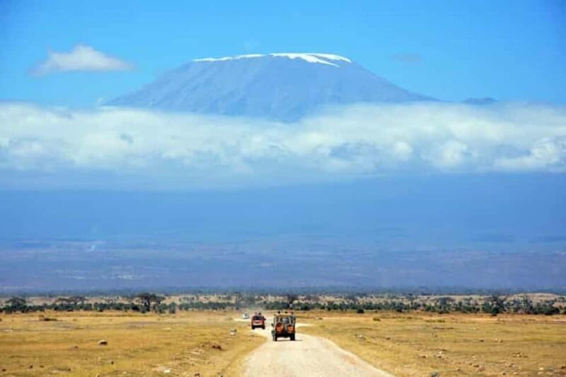 Kilimanjaro: Village Walk, Coffee Tour, Waterfall, & Lunch - Who Should Consider This Tour?
