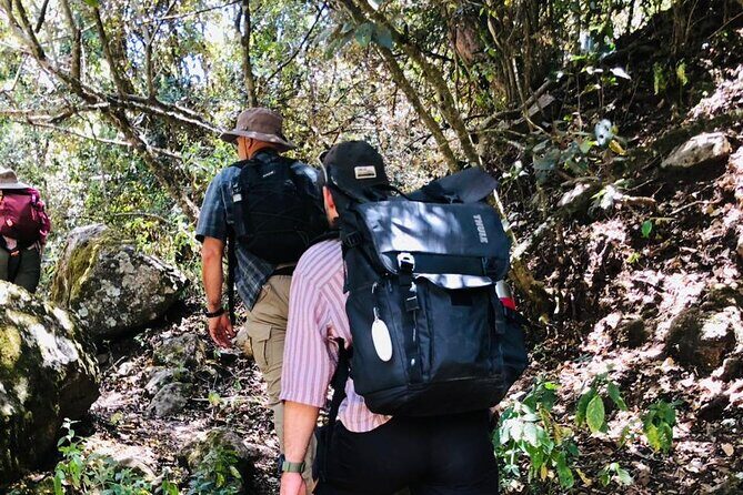 Kilimanjaro Wanderlust Day Hike - Who Will Enjoy This Tour?