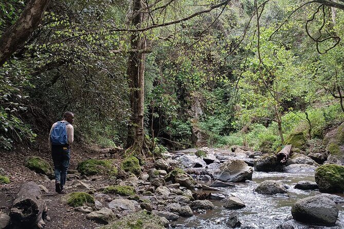 Kilimanjaro Wanderlust Day Hike - The Sum Up
