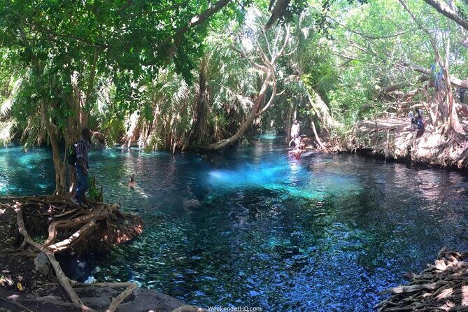 Kilimanjaro Waterfalls Hike & Moshi Hot Springs Day Trip Tour - What to Expect from the Kilimanjaro Waterfalls & Hot Springs Tour