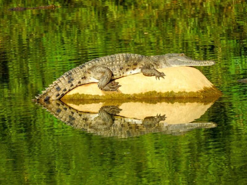 Kimberley: 9 Day Tour from Darwin to Broome - An In-Depth Look at the 9-Day Kimberley Tour