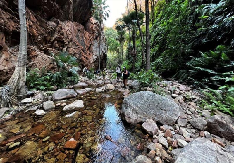 Kimberley: 9 Day Tour from Darwin to Broome - Who Should Consider This Tour?
